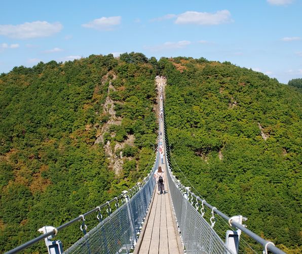 Geierlay Hängeseilbrücke